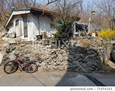 Spring. Alley. Forsythia. Old house Spring. Alley. Forsythia. Old house 75854283