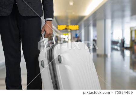 Businessman and suitcase Businessman and suitcase 75854499