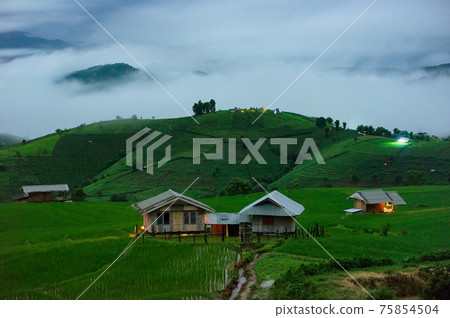 Ban Pa Pong Piang rice terraces Ban Pa Pong Piang rice terraces 75854504