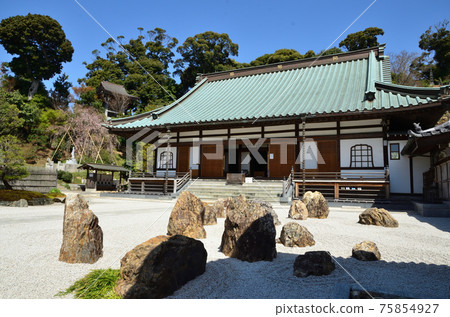 Ryuunji Massless Life Garden 75854927