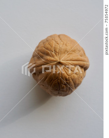 Fresh Natural Organic Nuts Walnuts 75854972
