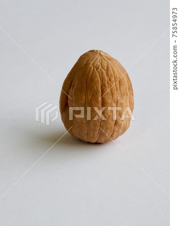 Fresh Natural Organic Nuts Walnuts 75854973