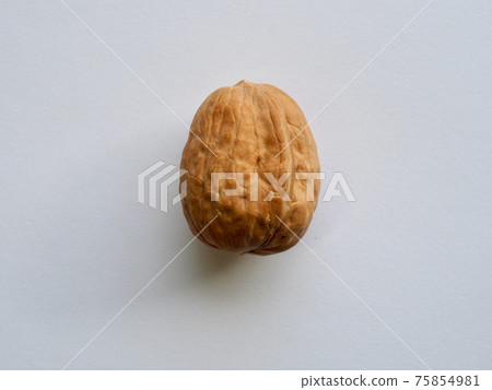 Fresh Natural Organic Nuts Walnuts Fresh Natural Organic Nuts Walnuts 75854981