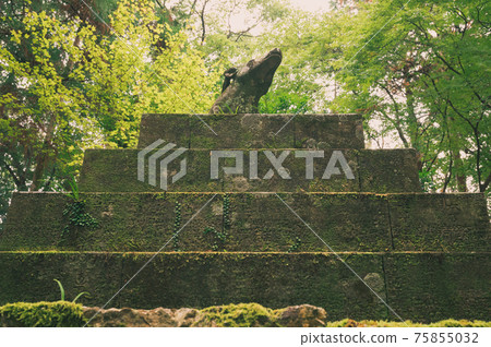 Stroke cow in the forest Stroke cow in the forest 75855032