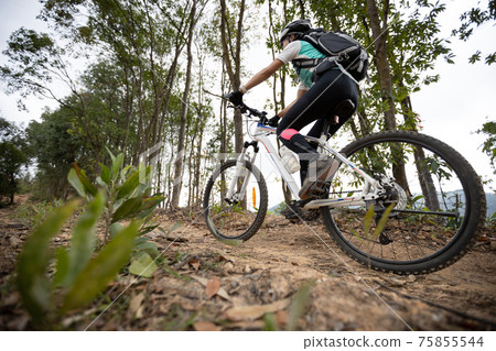 Woman cyclist cycling on mountain top forest trail 75855544