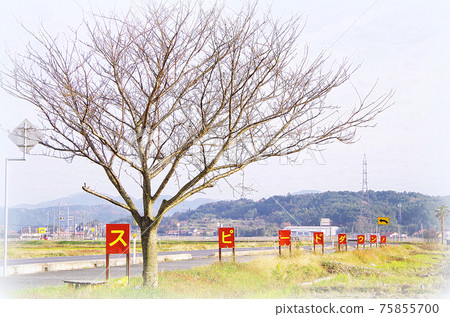 【畫風】立於縣道S形曲線中間的減速招牌 75855700