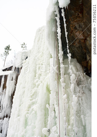 Frozen waterfall from a stone cliff in the national park. Frozen waterfall from a stone cliff in the national park. 75856211