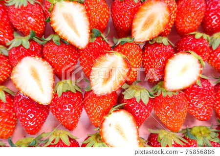 草莓,草莓,草莓,草莓 草莓,草莓,草莓,草莓 75856886