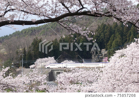 櫻花快捷山形新幹線翼酒店 75857208