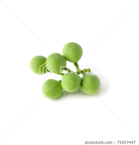 Pea Eggplants or turkey berry isolated over white background 75857447