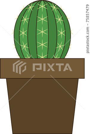 Round cactus 75857479