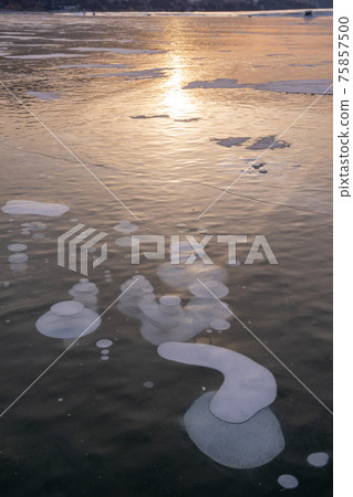 冬天在上士堀町核平湖的冰泡 75857500