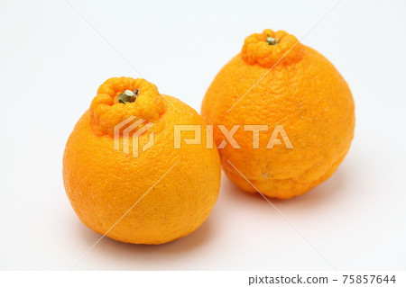 Decorphone Decorphone 75857644