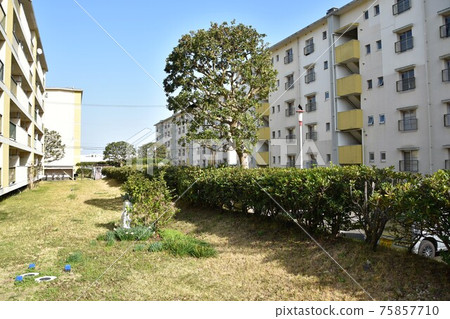 The disappearing Showa housing complex The disappearing Showa housing complex 75857710