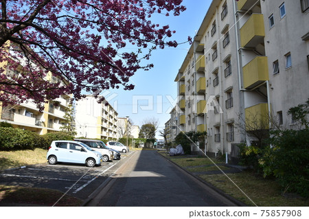 消失的昭和住宅小區 75857908