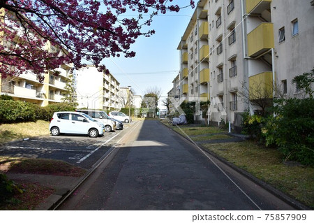 消失的昭和住宅小區 消失的昭和住宅小區 75857909