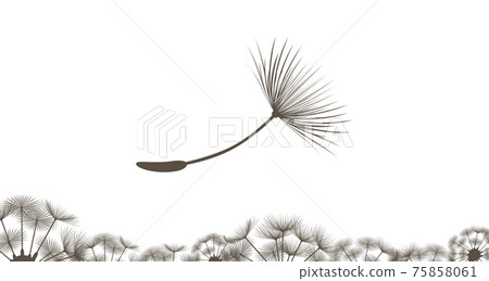 Dandelion fluff Dandelion fluff 75858061