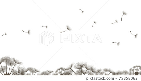 Dandelion fluff Dandelion fluff 75858062