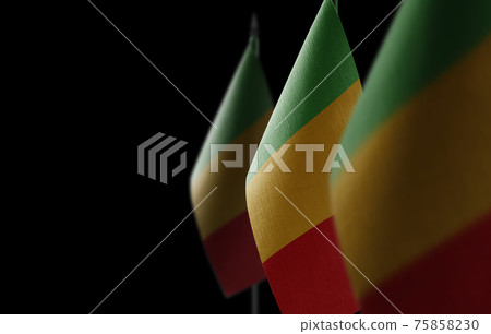 Small national flags of the Mali on a black background 75858230
