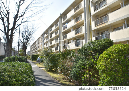 The disappearing Showa housing complex The disappearing Showa housing complex 75858324