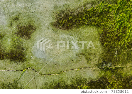 Old concrete wall and the background Old concrete wall and the background 75858611