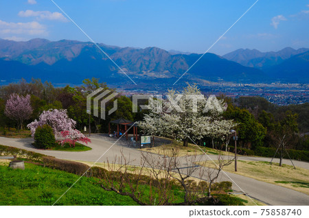 Fuefukugawa河水果公園在春天 Fuefukugawa河水果公園在春天 75858740