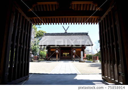 Sumiyoshi Taisha, Daikai Shrine Main Hall (Sumiyoshi-ku, Osaka) Sumiyoshi Taisha, Daikai Shrine Main Hall (Sumiyoshi-ku, Osaka) 75858914