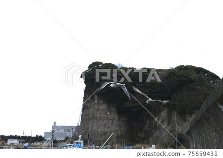 Scenery near Hiragata Port Scenery near Hiragata Port 75859431