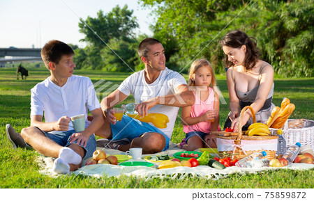 Cheerful family picnicking 75859872
