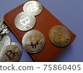 比特幣虛擬貨幣 75860405