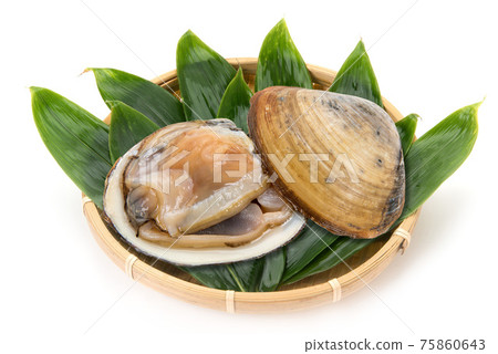 Raw surf clam Raw surf clam 75860643