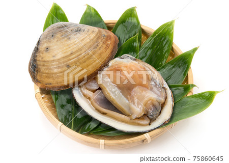 Raw surf clam 75860645