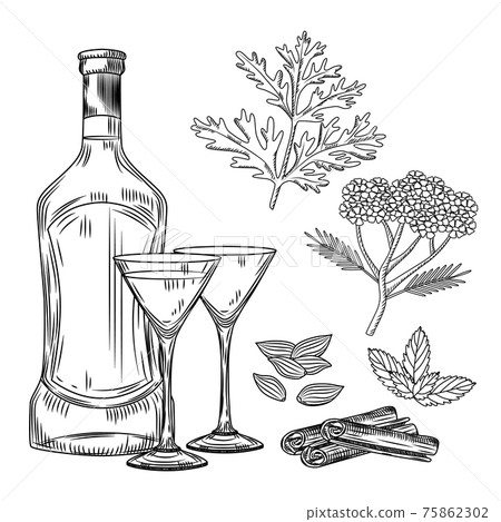Set of vermouth. Cocktail glass and bottle vermouth, wormwood, yarrow, cinnamon, mint, cardamom. Engraving vintage style. Set of vermouth. Cocktail glass and bottle vermouth, wormwood, yarrow, cinnamon, mint, cardamom. Engraving vintage style. 75862302