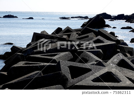 Tetrapod sticking out Tetrapod sticking out 75862311