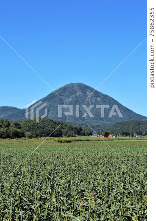 Mt. Sobetsu (Hokkaido Kimori Town) Mt. Sobetsu (Hokkaido Kimori Town) 75862355