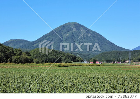 Mt. Sobetsu (Hokkaido Kimori Town) Mt. Sobetsu (Hokkaido Kimori Town) 75862377
