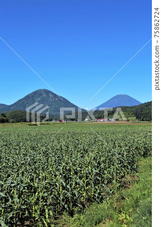 Shiribetsu and Yotei（北海道紀別町） 75862724