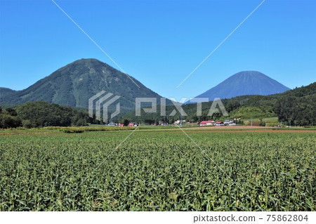 Shiribetsu and Yotei (Kibetsu-cho, Hokkaido) 75862804