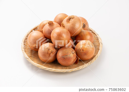 洋蔥白色背景工作室拍攝 洋蔥白色背景工作室拍攝 75863602