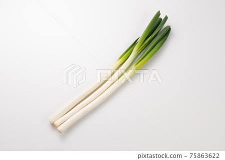 Long green onion white background studio shooting Long green onion white background studio shooting 75863622