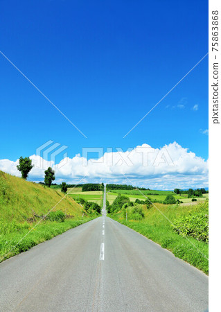 Hokkaido summer blue sky and road 75863868