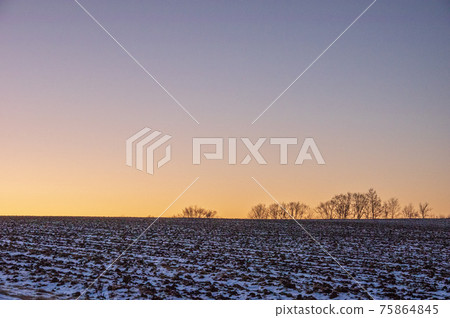 Landscape of the sunrise in Tanno-cho, Kitami-shi in winter Landscape of the sunrise in Tanno-cho, Kitami-shi in winter 75864845