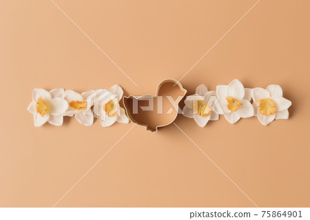 Spring Narcissus, bird Easter form for baking. Beige background Spring Narcissus, bird Easter form for baking. Beige background 75864901