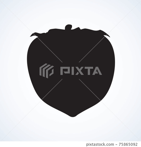 Persimmon. Vector drawing 75865092