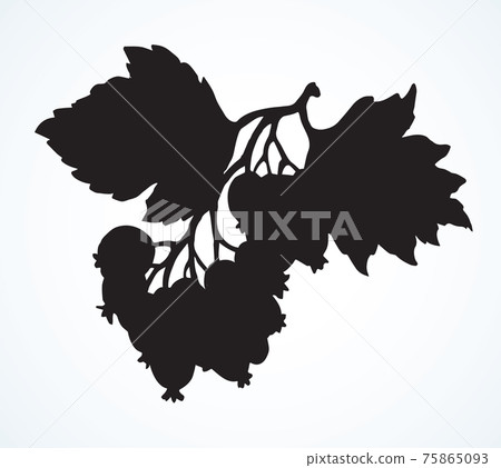 Hawthorn. Vector drawing icon sign Hawthorn. Vector drawing icon sign 75865093