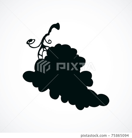 Bunch of grapes. Vector drawing Bunch of grapes. Vector drawing 75865094