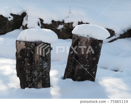 樹上的雪(花園) 樹上的雪(花園) 75865119
