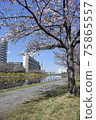 Hirai Kyunaka River scenery 75865557