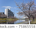 Hirai Kyunaka River scenery 75865558