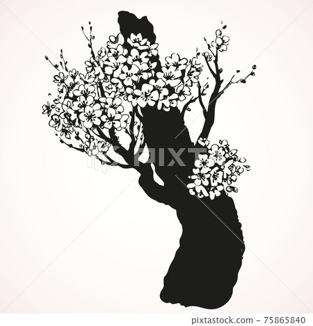 Spring flowering tree. Vector drawing 75865840